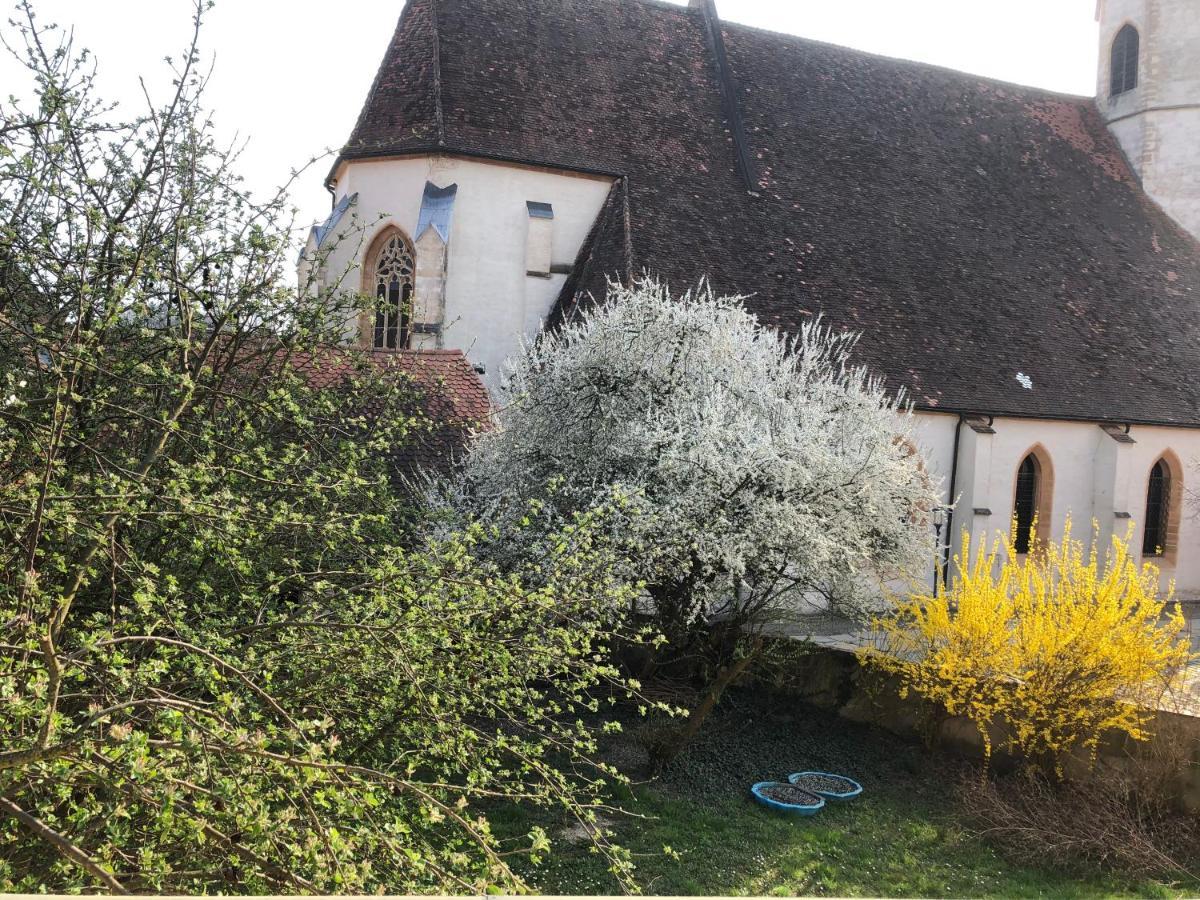 Altstadt-Apartments Bad Radkersburg - Ihr Zuhause Auf Reisen Ngoại thất bức ảnh